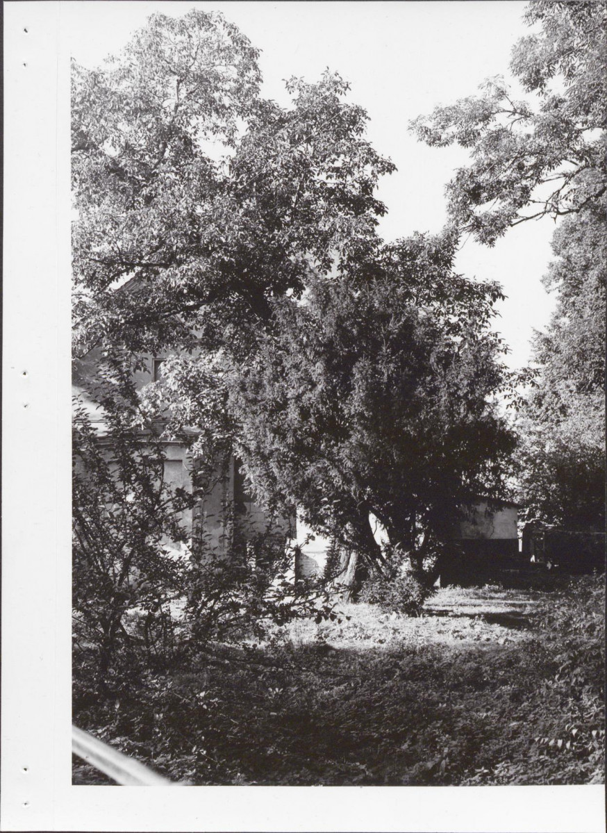 Ewidencja parkowa, skan nr 15