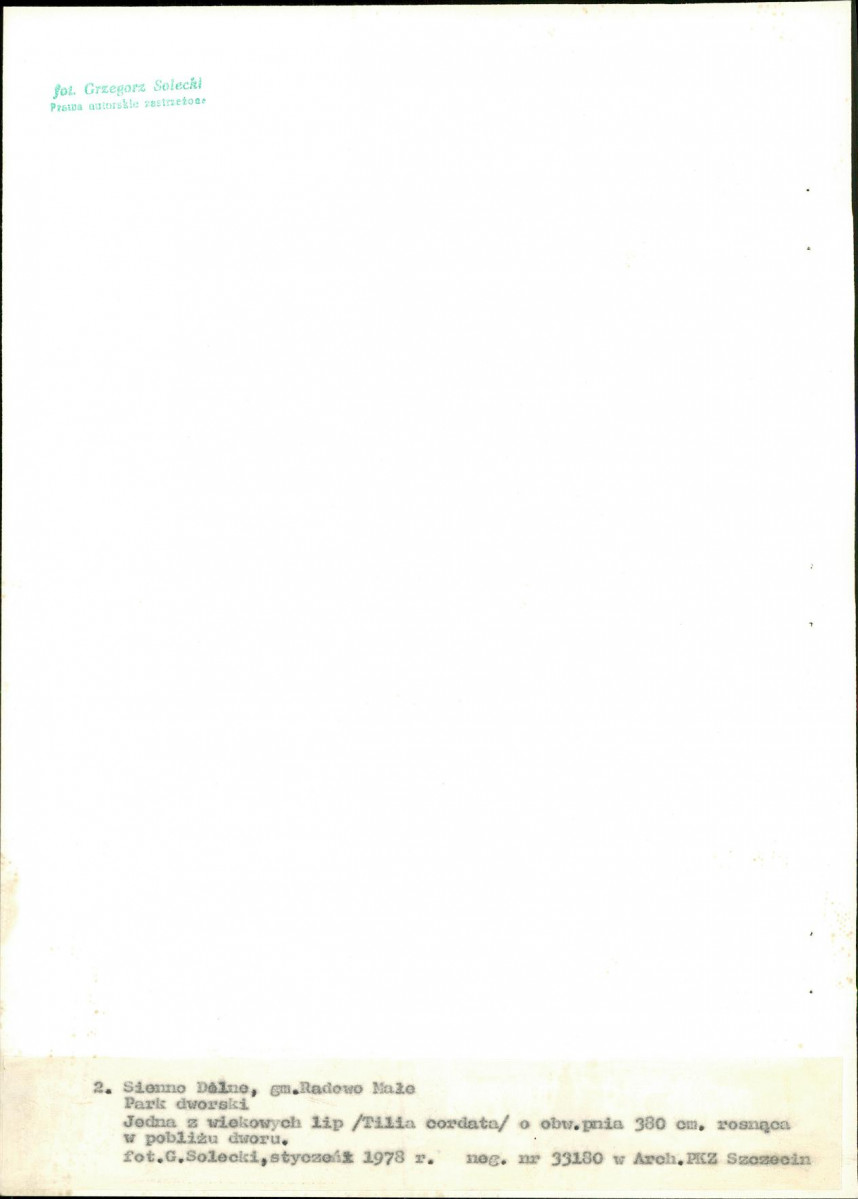 Ewidencja parkowa, skan nr 22