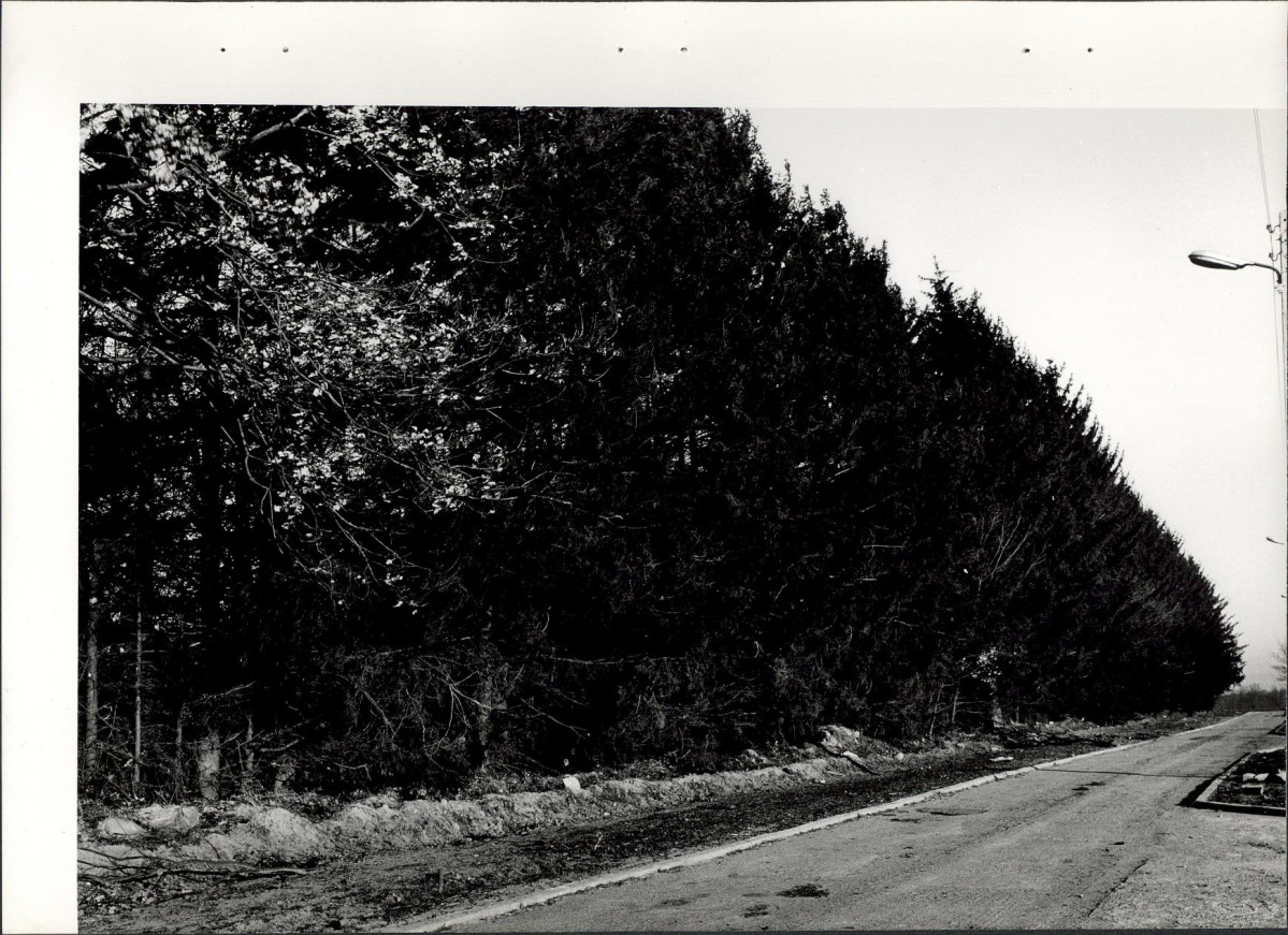 Ewidencja parkowa, skan nr 23