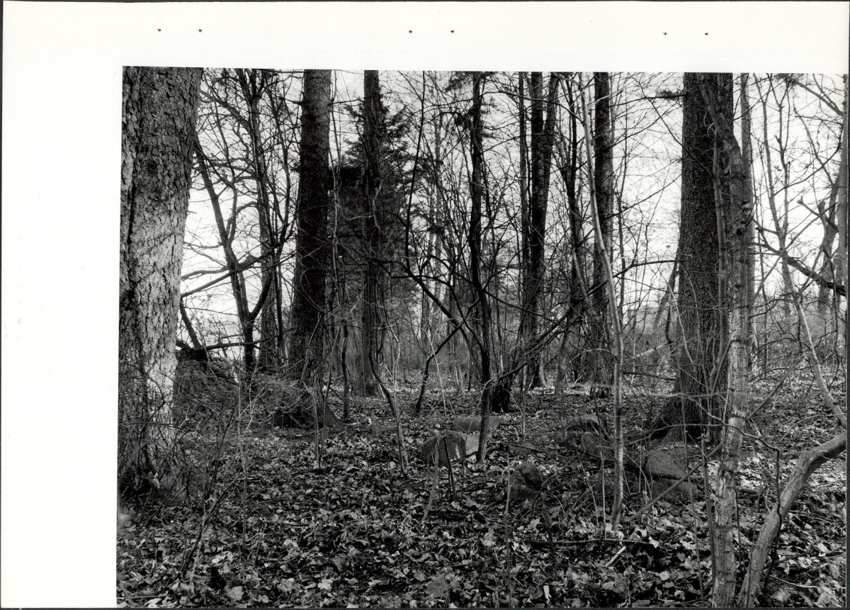 EP - Ewidencja parkowa, skan nr 21