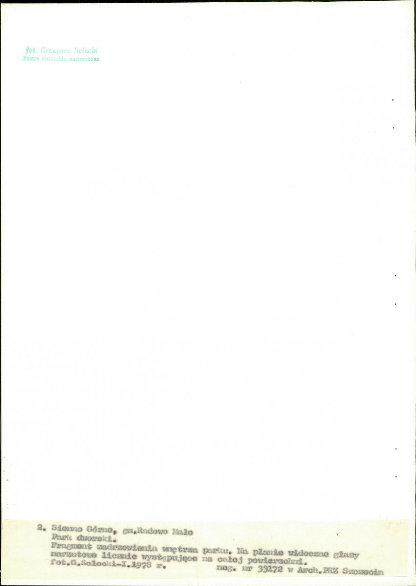 EP - Ewidencja parkowa, skan nr 22