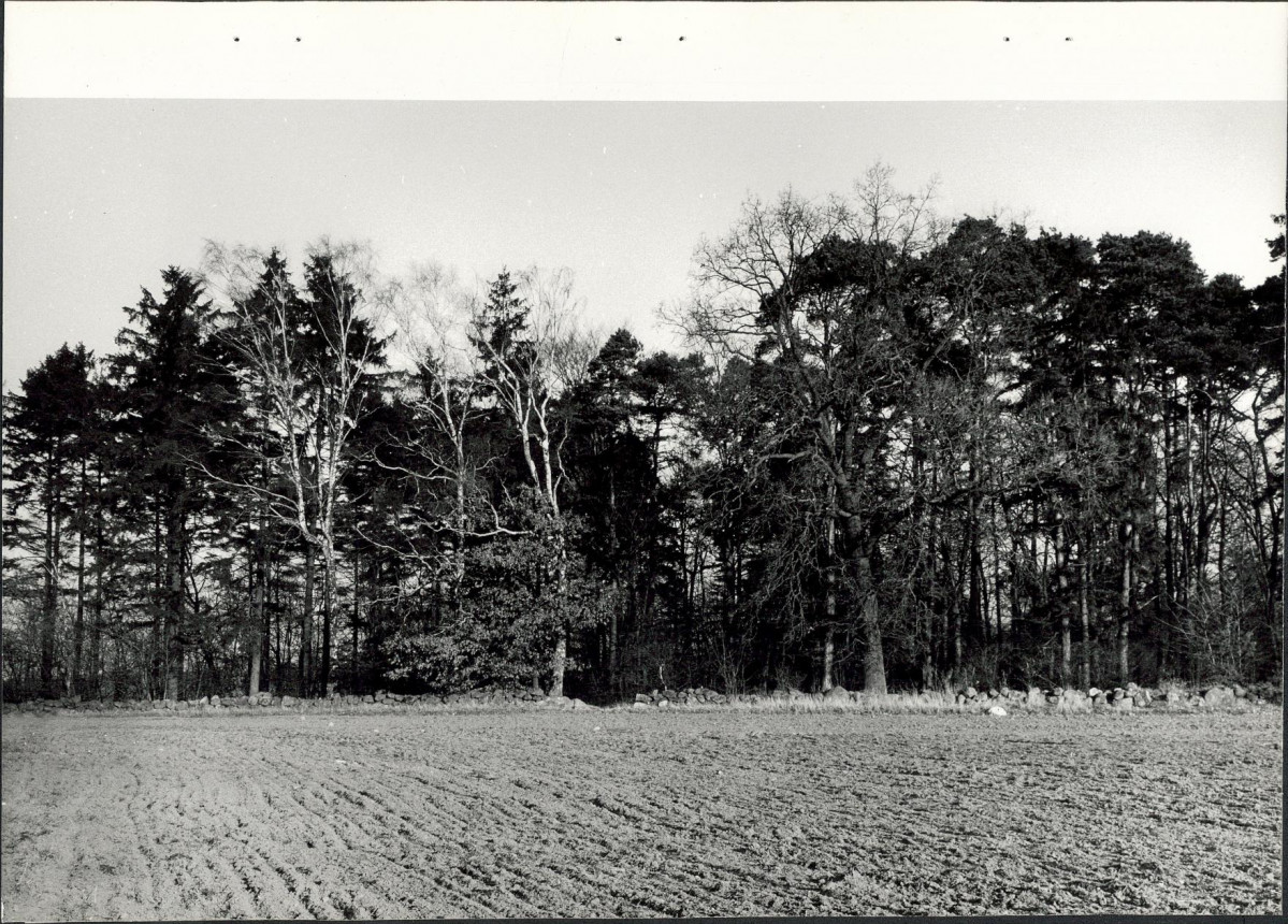 EP - Ewidencja parkowa, skan nr 23