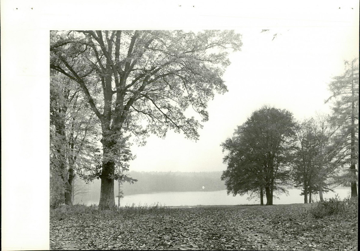 Ewidencja parkowa, skan nr 25