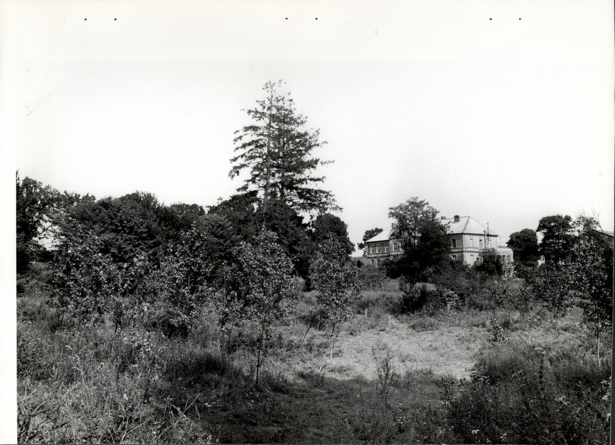 Ewidencja parkowa, skan nr 21