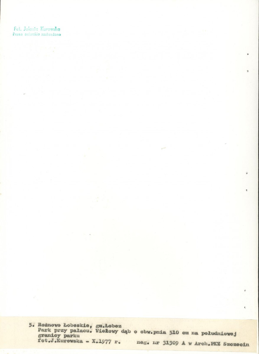 Ewidencja parkowa, skan nr 24