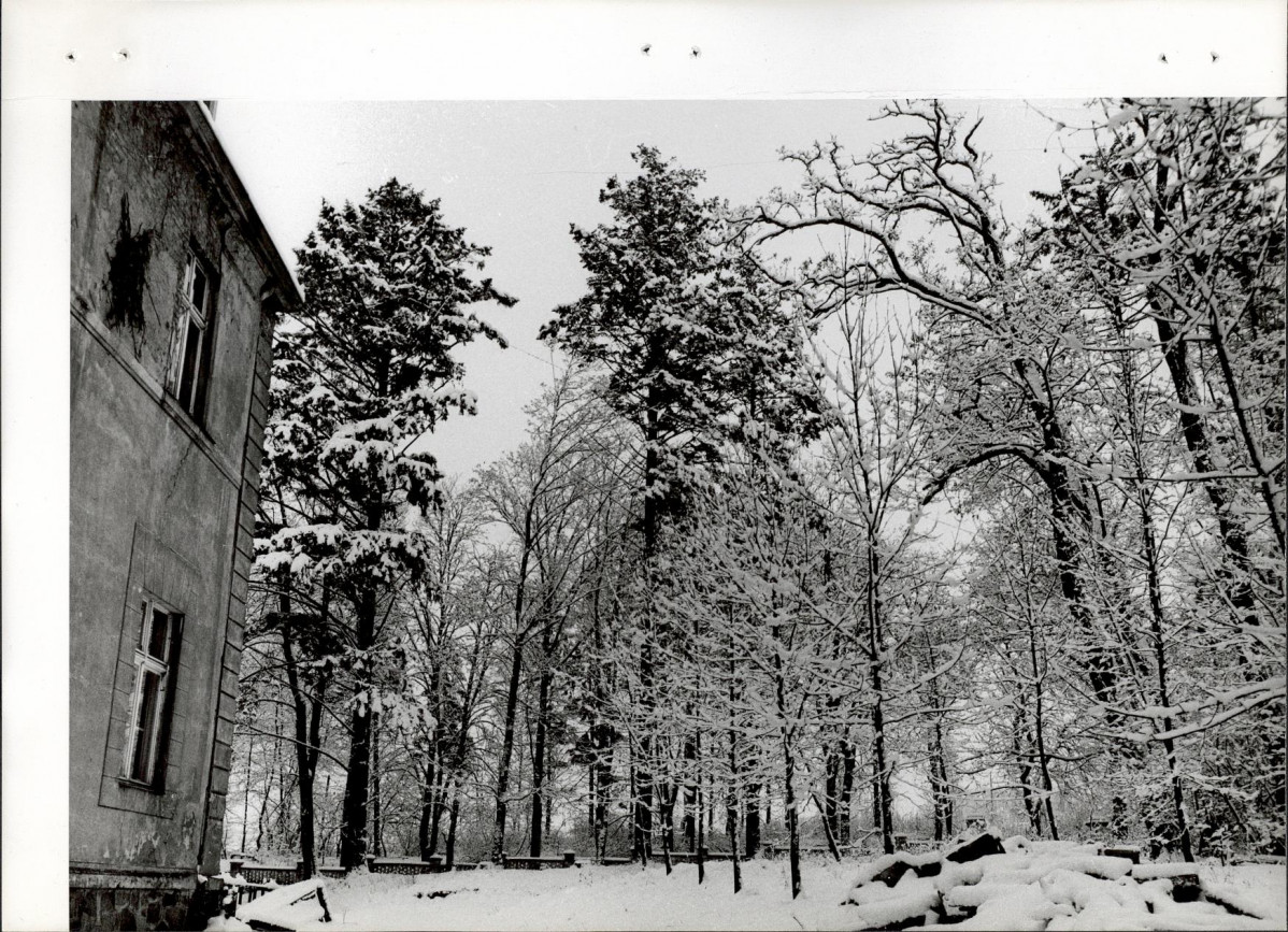 Ewidencja parkowa, skan nr 25