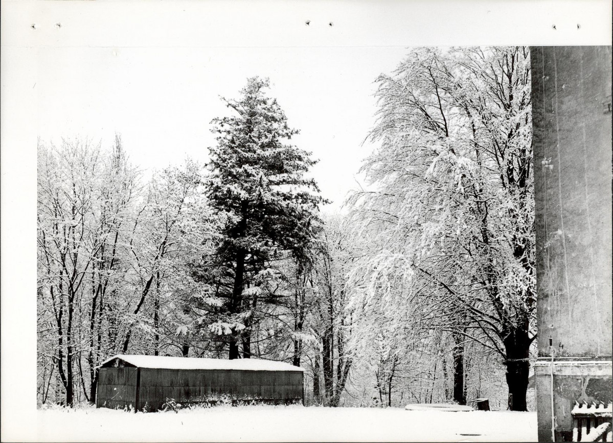 Ewidencja parkowa, skan nr 27