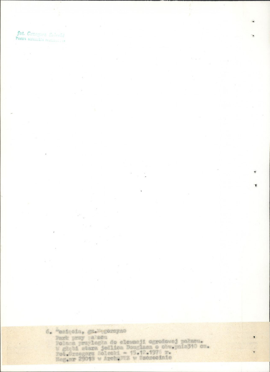 Ewidencja parkowa, skan nr 28