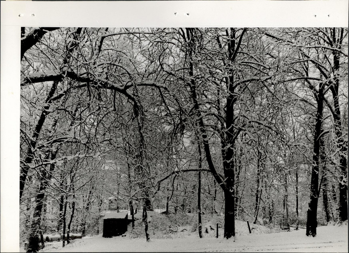 Ewidencja parkowa, skan nr 29