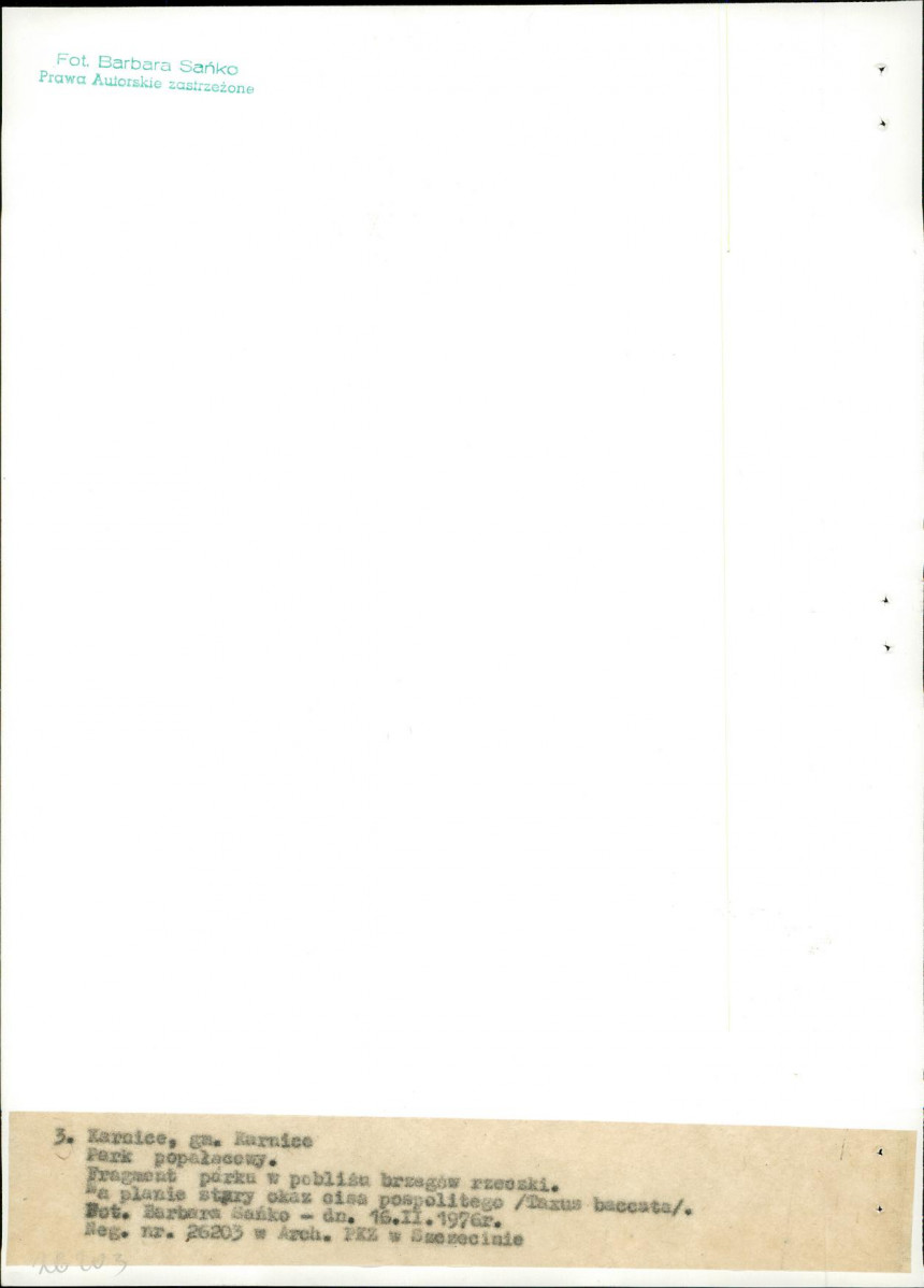 Ewidencja parkowa, skan nr 20