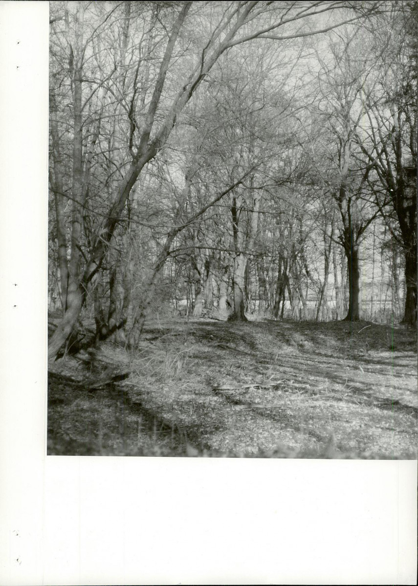 Ewidencja parkowa, skan nr 23