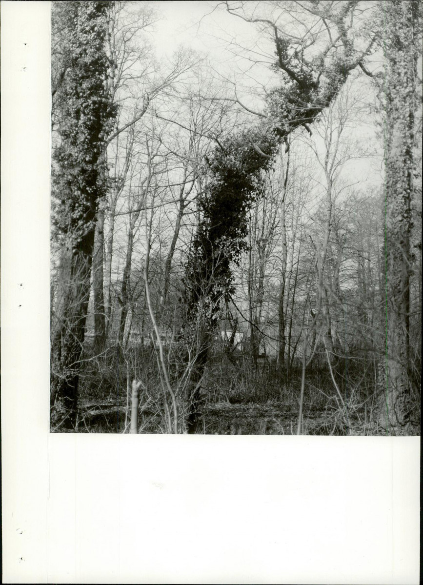 Ewidencja parkowa, skan nr 25