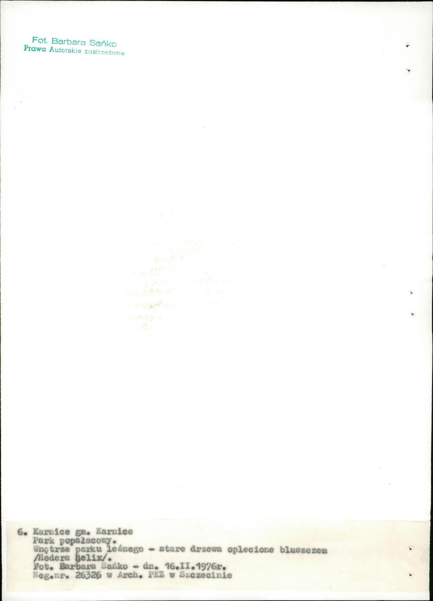 Ewidencja parkowa, skan nr 26