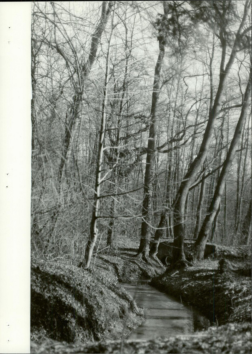 Ewidencja parkowa, skan nr 27