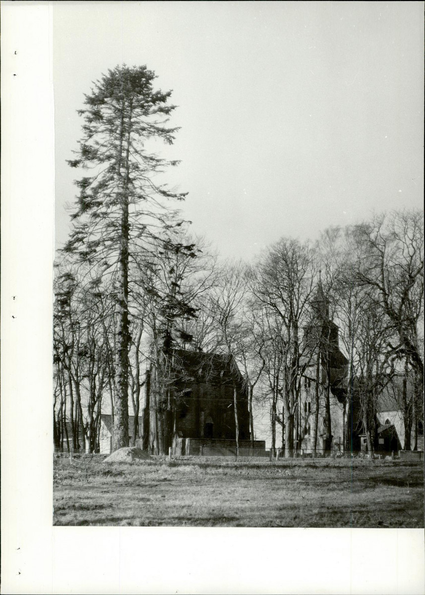 Ewidencja parkowa, skan nr 33