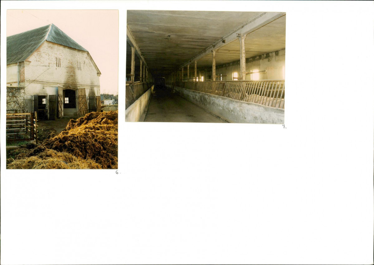 Karta biała, skan nr 10