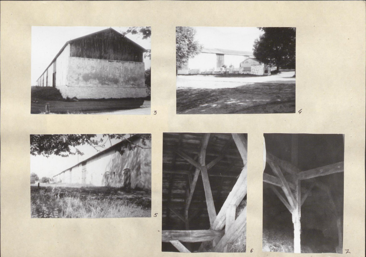 Karta biała, skan nr 6