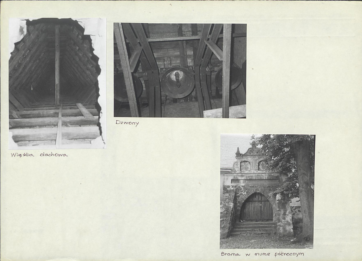 Karta biała, skan nr 8