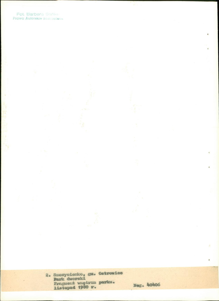 EP - Ewidencja parkowa, skan nr 21