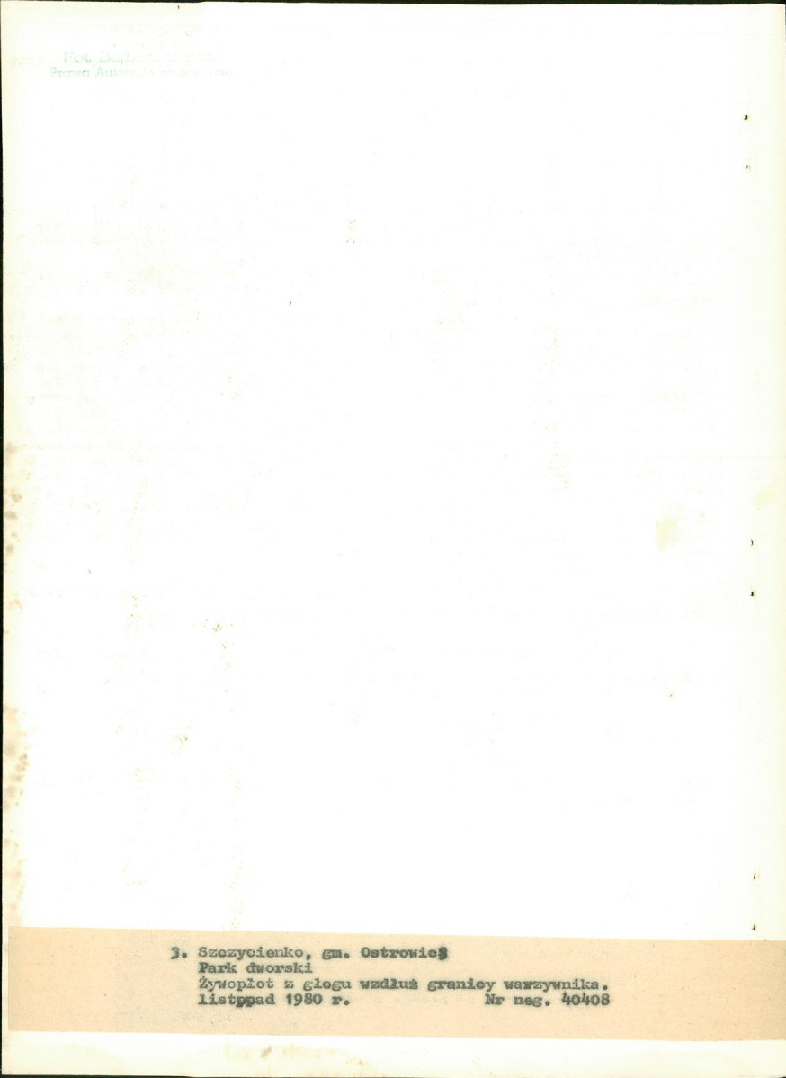 EP - Ewidencja parkowa, skan nr 23