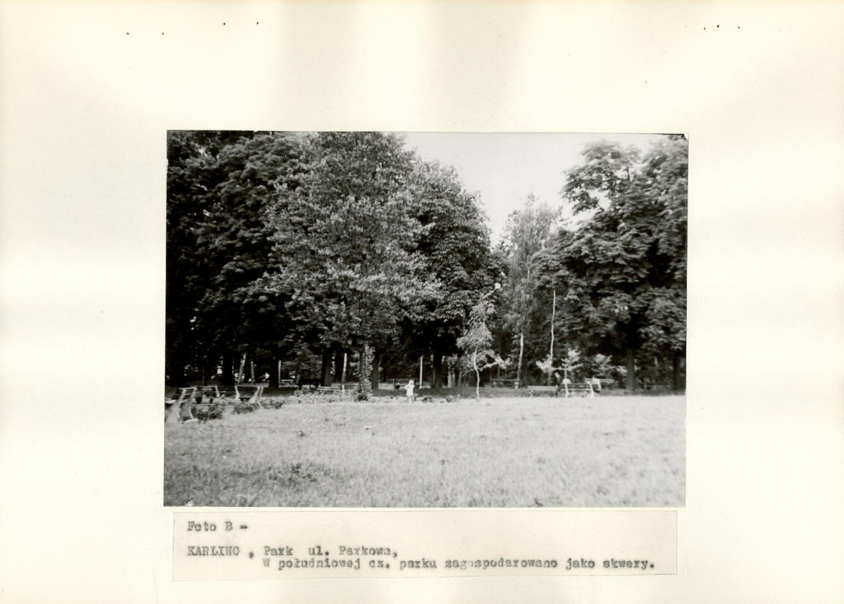 Ewidencja parkowa, skan nr 15