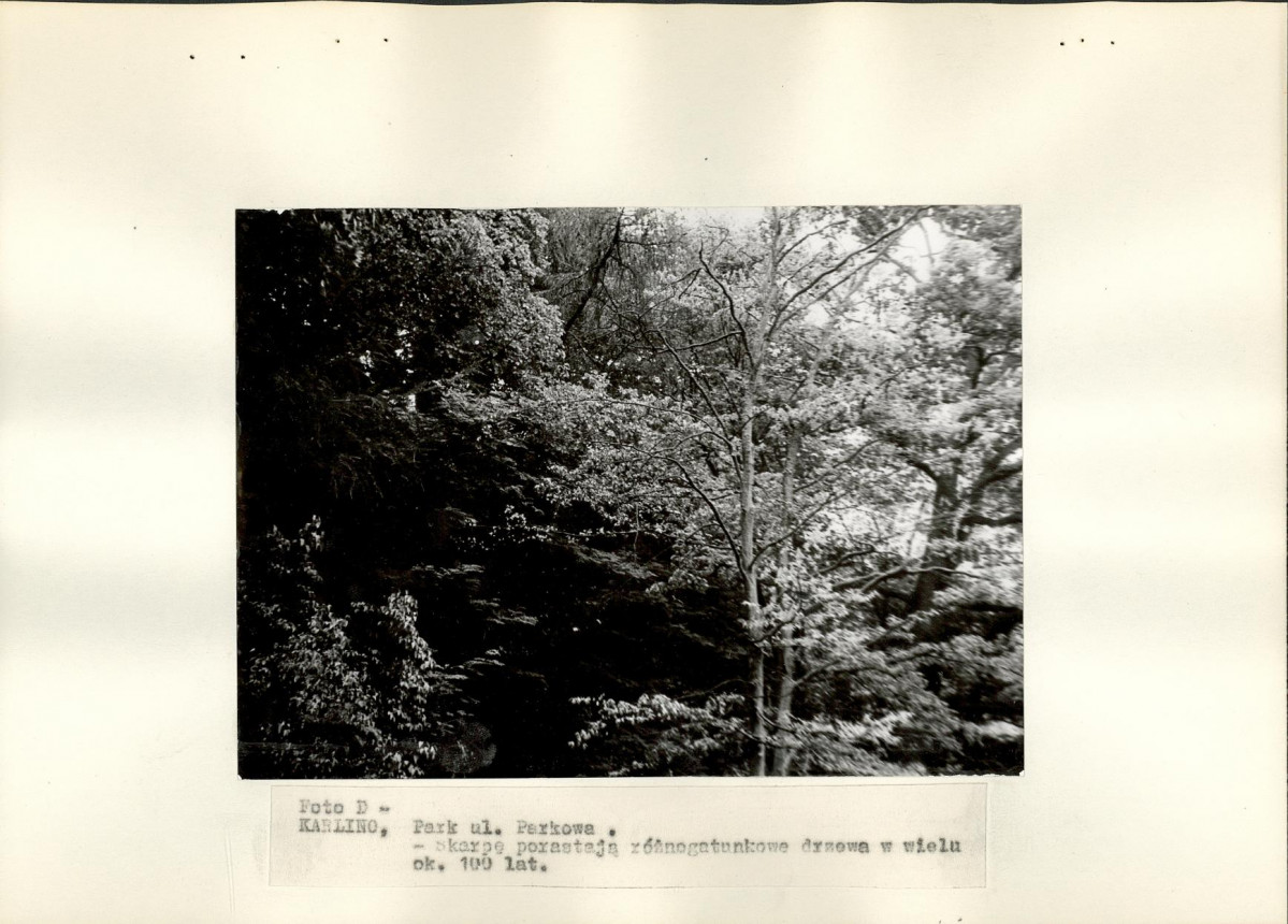 Ewidencja parkowa, skan nr 17