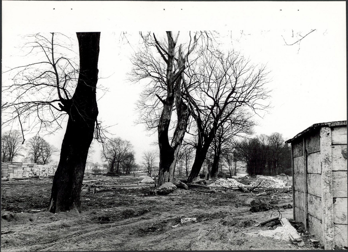 Ewidencja parkowa, skan nr 19