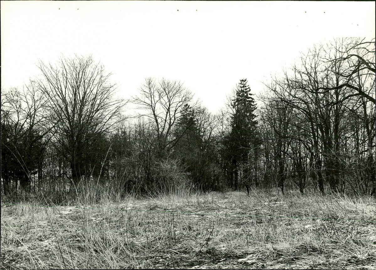 Ewidencja parkowa, skan nr 21