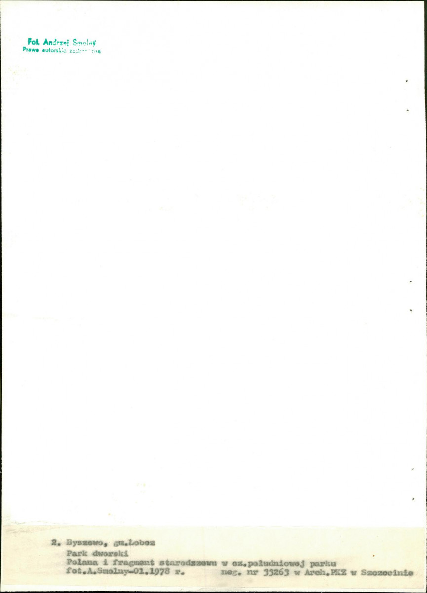 Ewidencja parkowa, skan nr 22