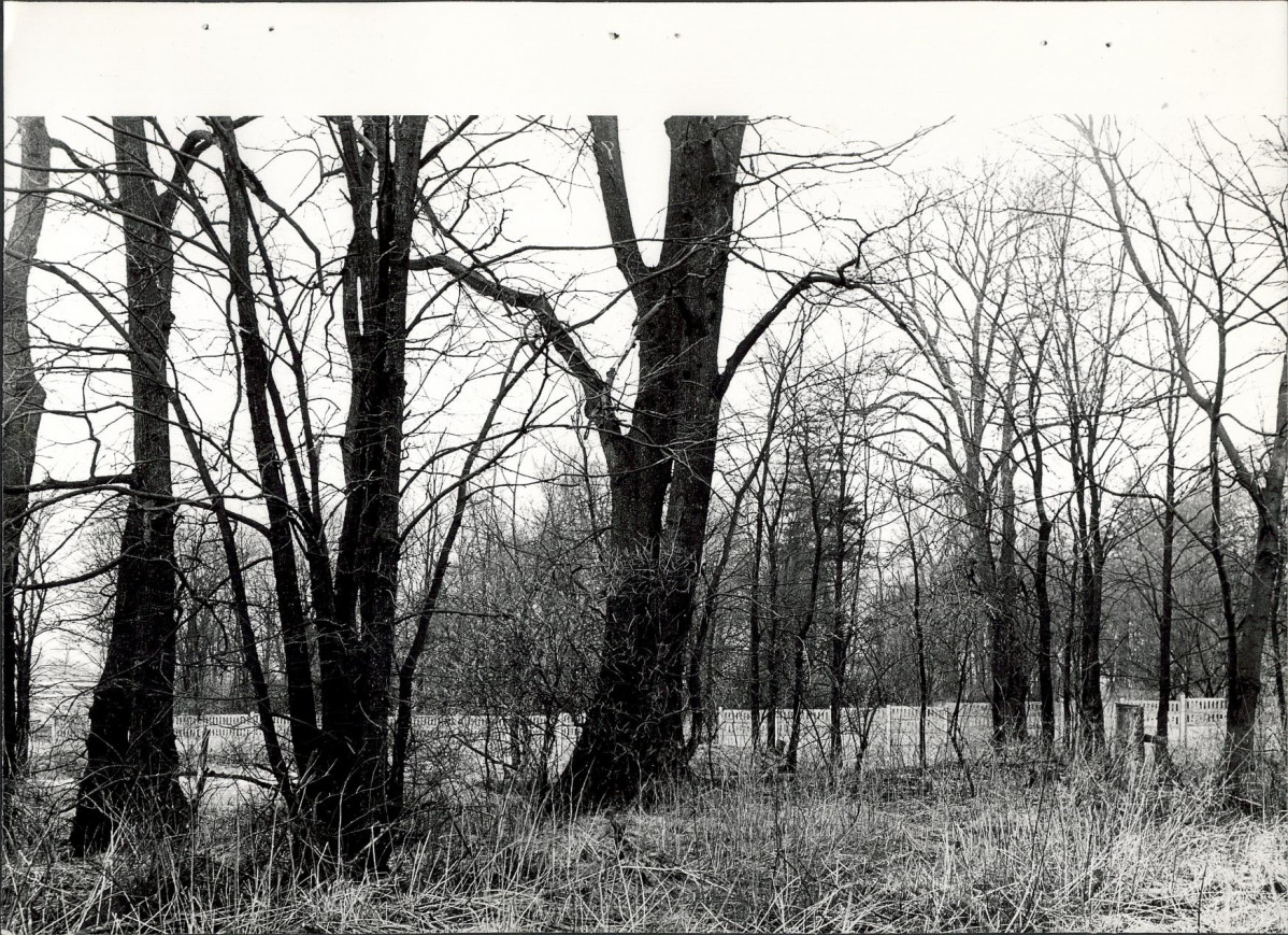 Ewidencja parkowa, skan nr 23