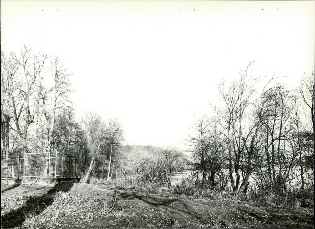 EP - Ewidencja parkowa, skan nr 23