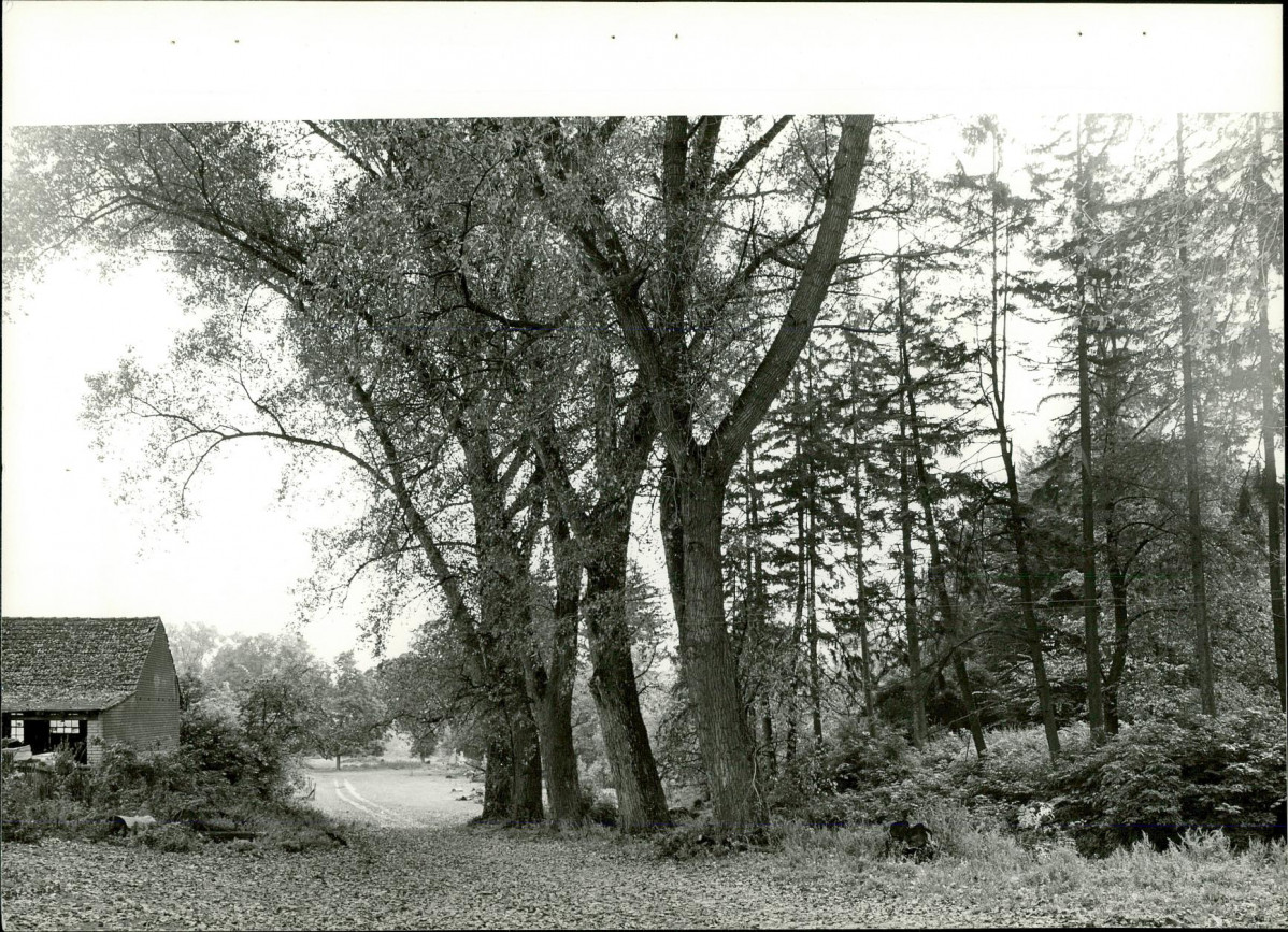 Ewidencja parkowa, skan nr 20