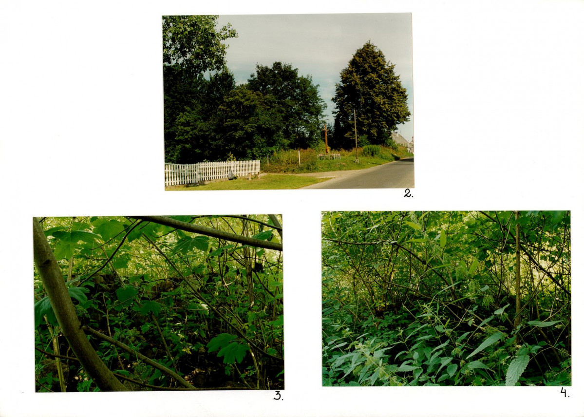 Karta biała, skan nr 8