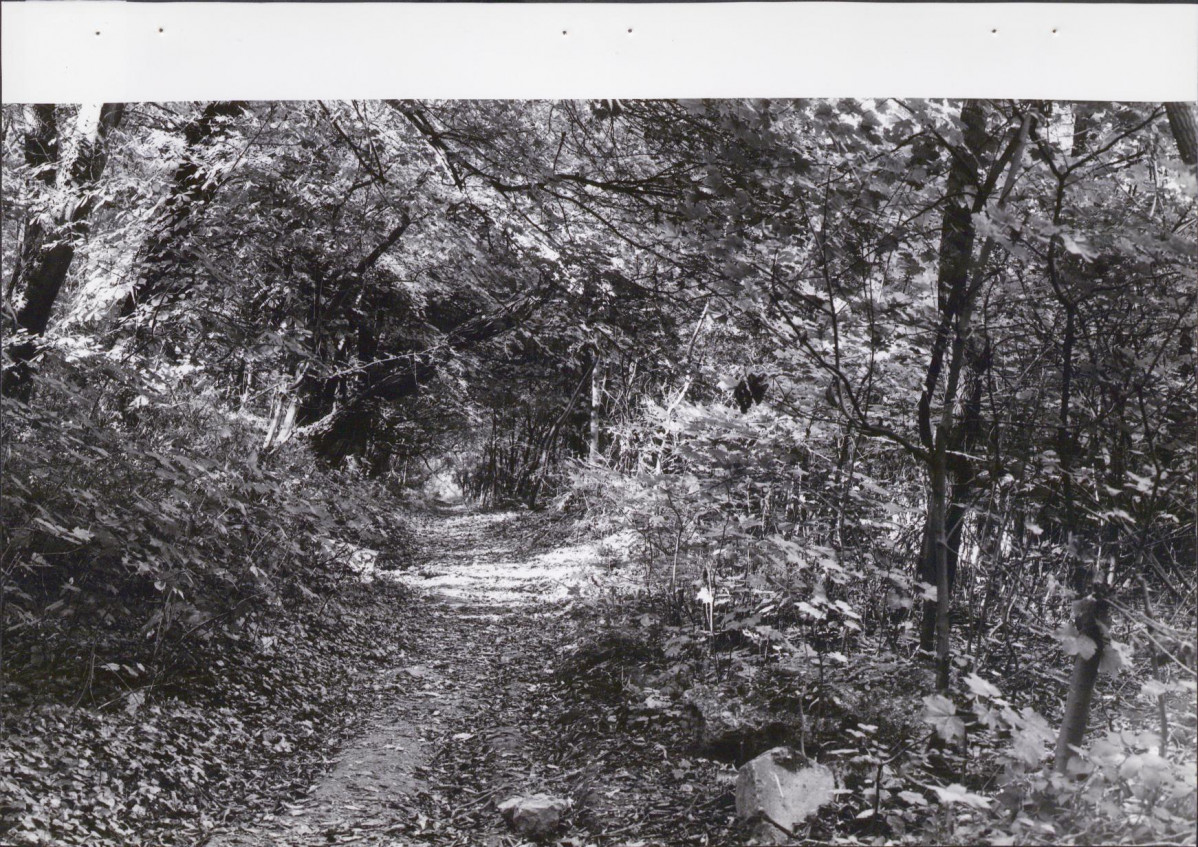 EP - Ewidencja parkowa, skan nr 34