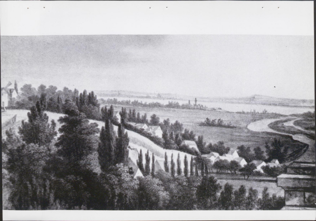 EP - Ewidencja parkowa, skan nr 48