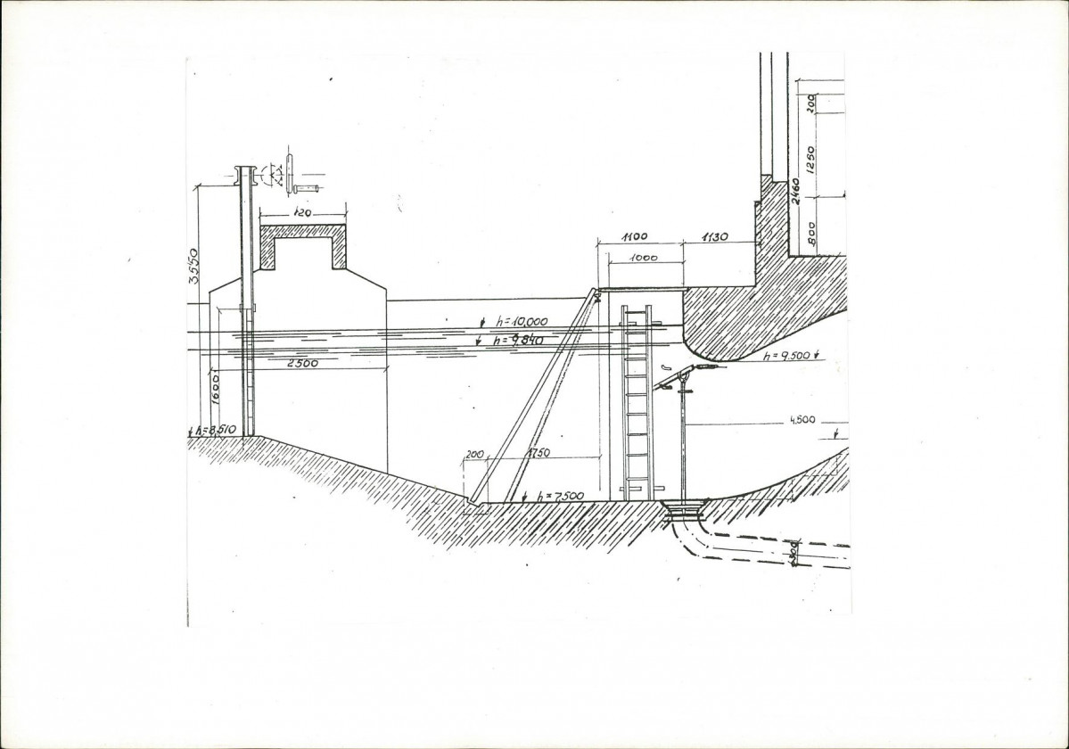 Karta biała, skan nr 6