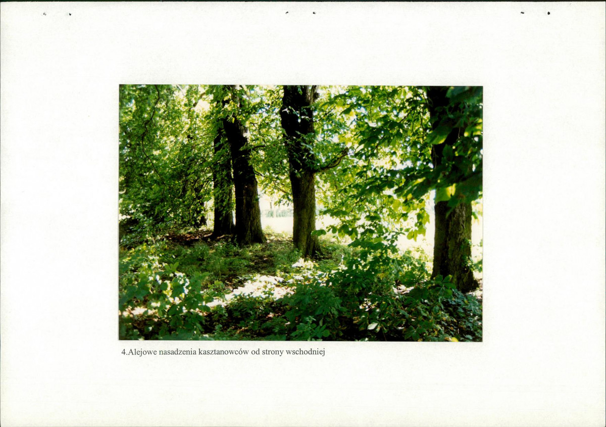 EP - Ewidencja parkowa, skan nr 34