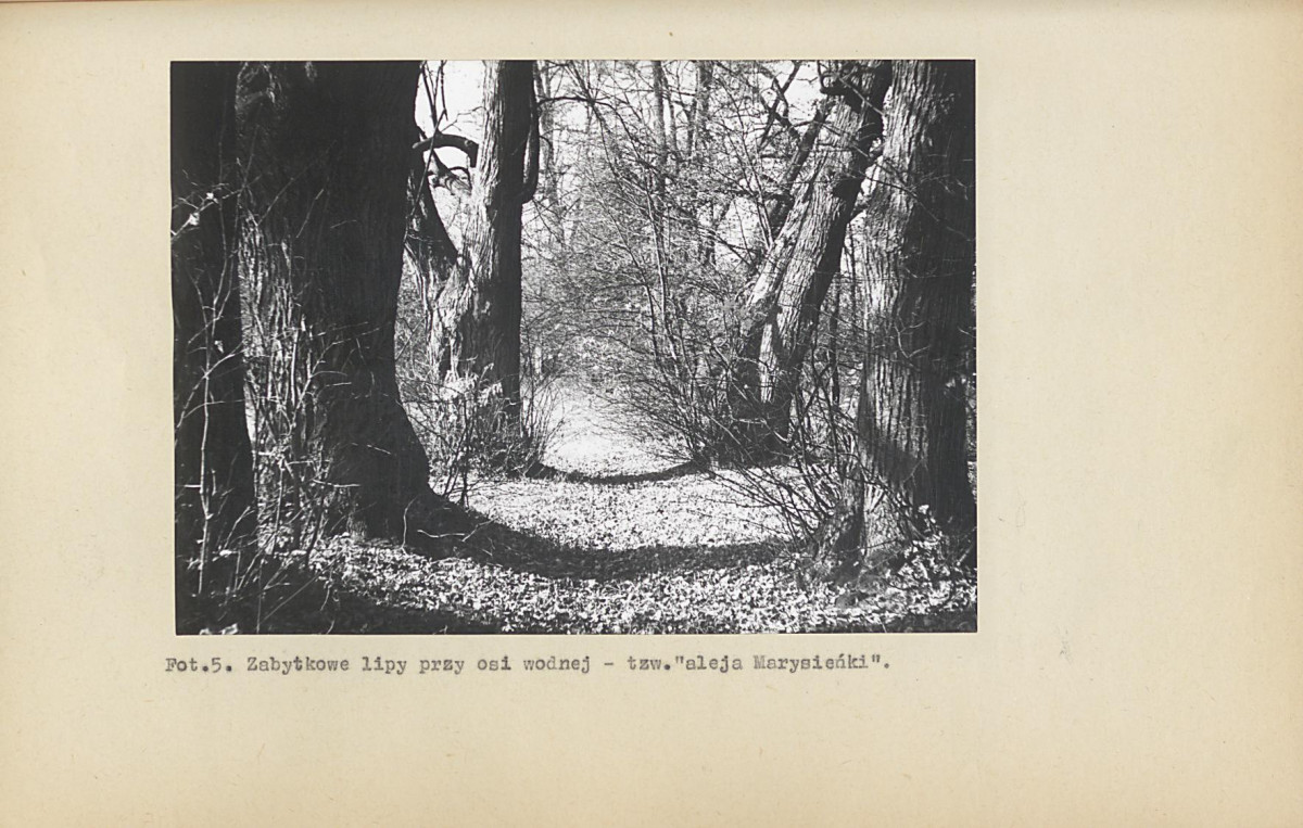 EP - Ewidencja parkowa, skan nr 91