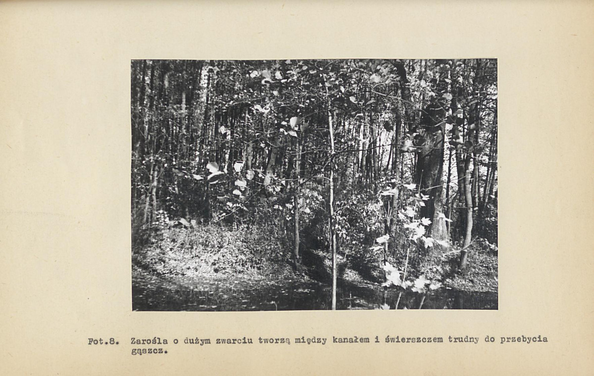 EP - Ewidencja parkowa, skan nr 94