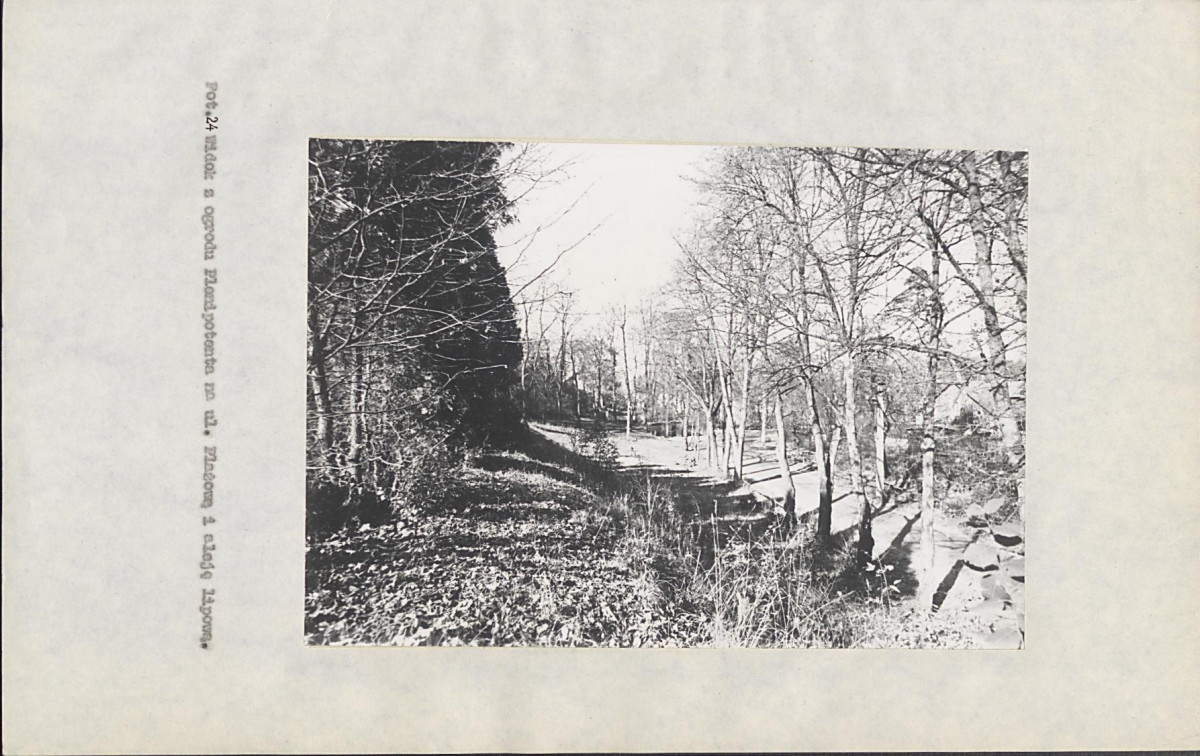 EP - Ewidencja parkowa, skan nr 110