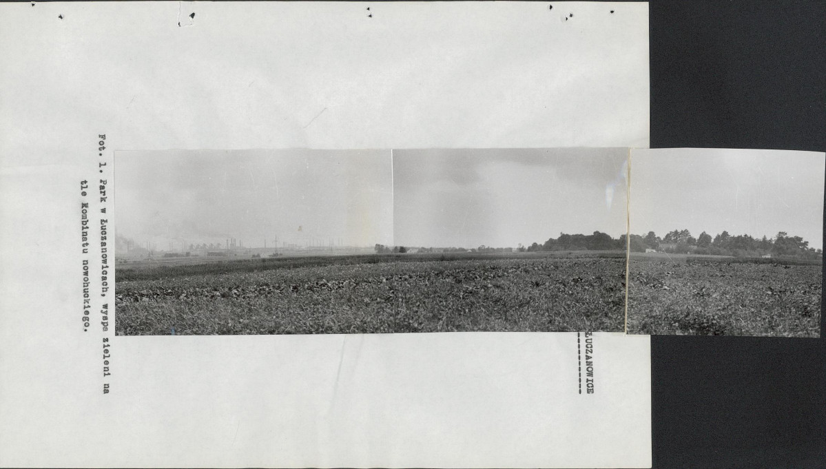 EP - Ewidencja parkowa, skan nr 81