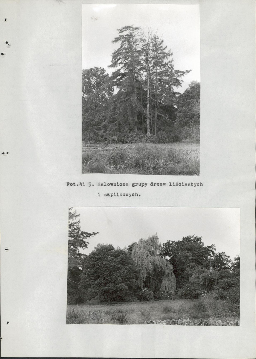 EP - Ewidencja parkowa, skan nr 83