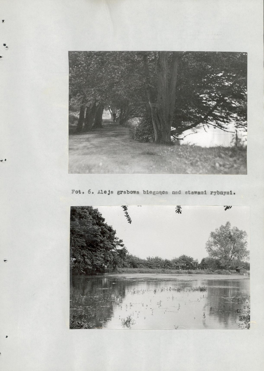 EP - Ewidencja parkowa, skan nr 84