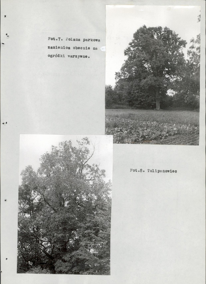 EP - Ewidencja parkowa, skan nr 85