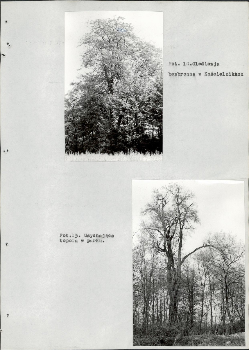 EP - Ewidencja parkowa, skan nr 86