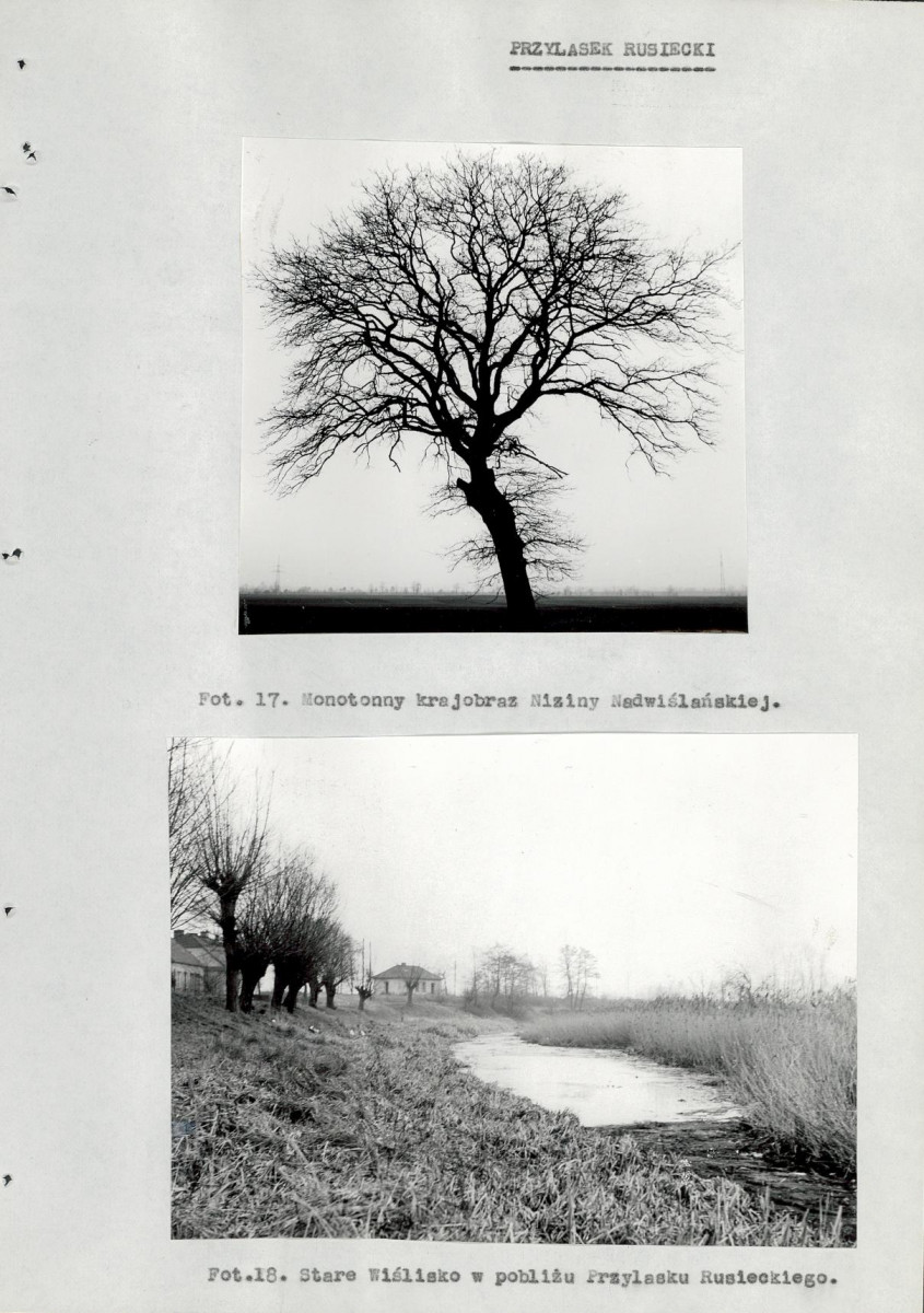 EP - Ewidencja parkowa, skan nr 90