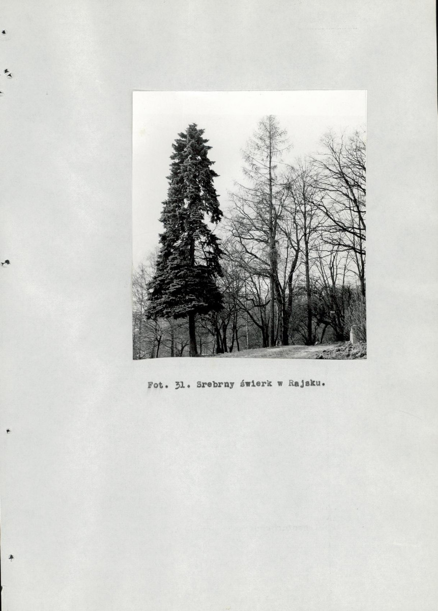 EP - Ewidencja parkowa, skan nr 99