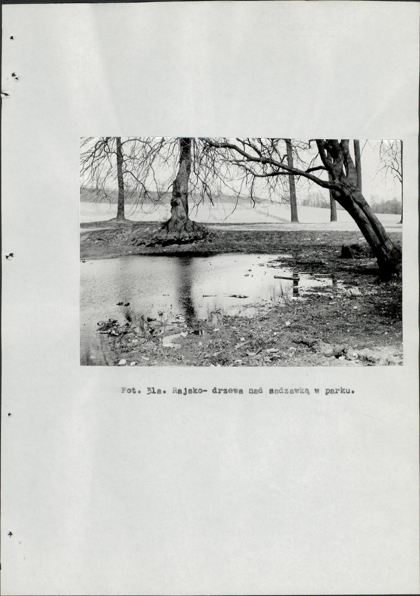 EP - Ewidencja parkowa, skan nr 100