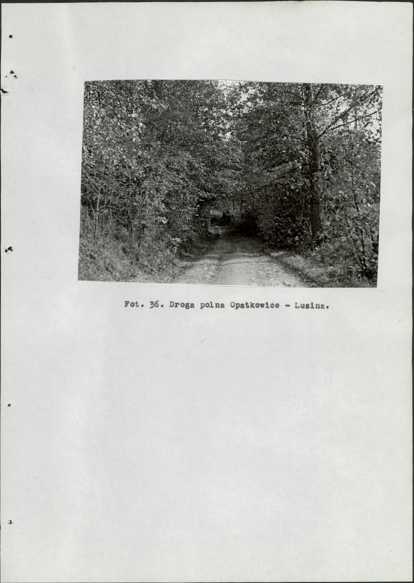 EP - Ewidencja parkowa, skan nr 104