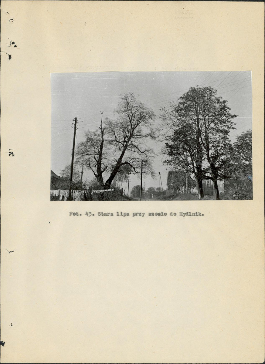 EP - Ewidencja parkowa, skan nr 108